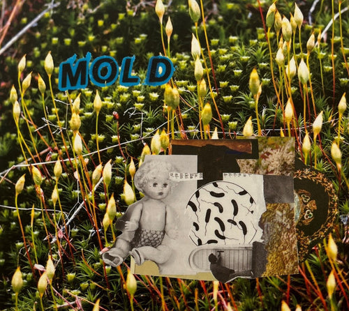 Mold - Mold CD