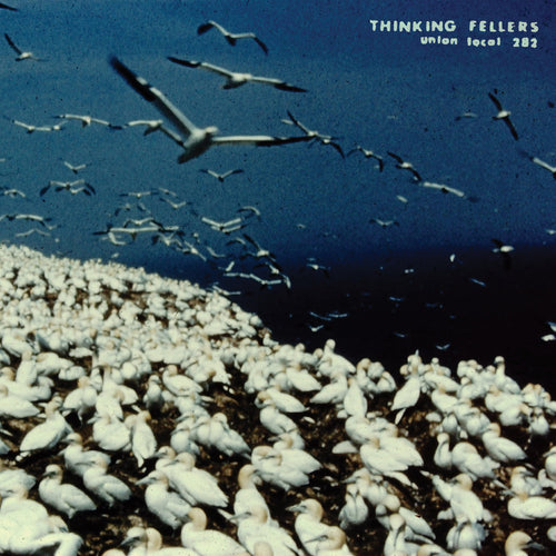 Thinking Fellers Union Local 282 - These Things Remain Unassigned (singles, compilation tracks, rarities & unreleased recordings) 2LP